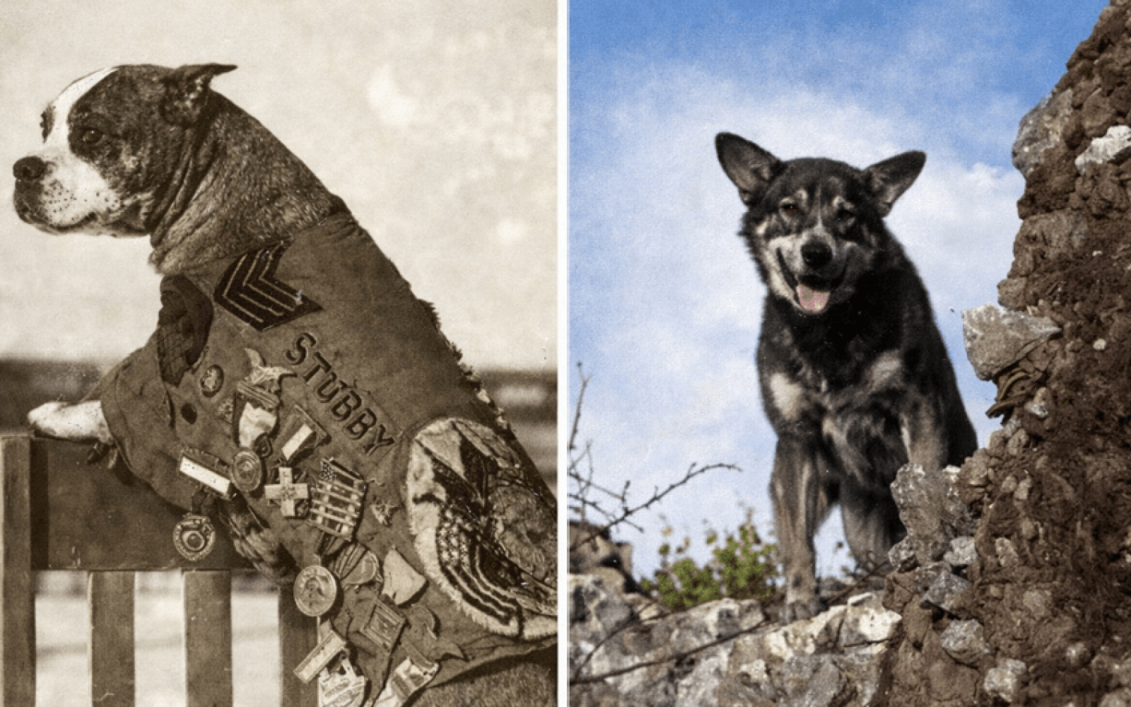 Screenshot 2026-03-10 234959